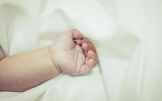 Woman in Libya Throws Newborn to Stray Dogs