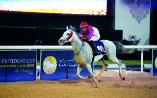 Horse 'Afjan' Wins President's Cup for Arabian Horses in Libya