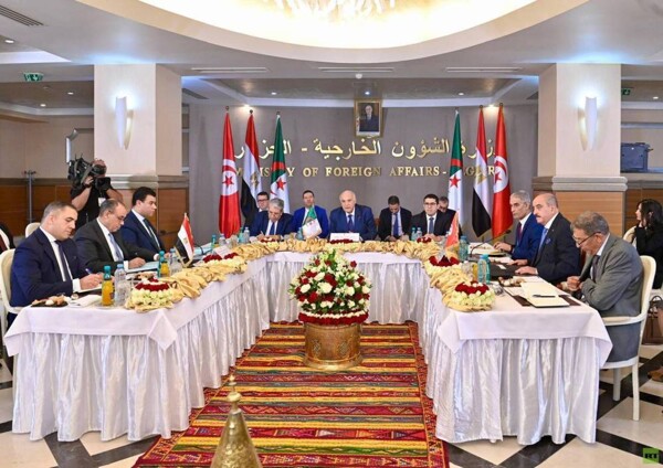 Algeria, Egypt, and Tunisia Ministers Call for Libyan-Led Political Process